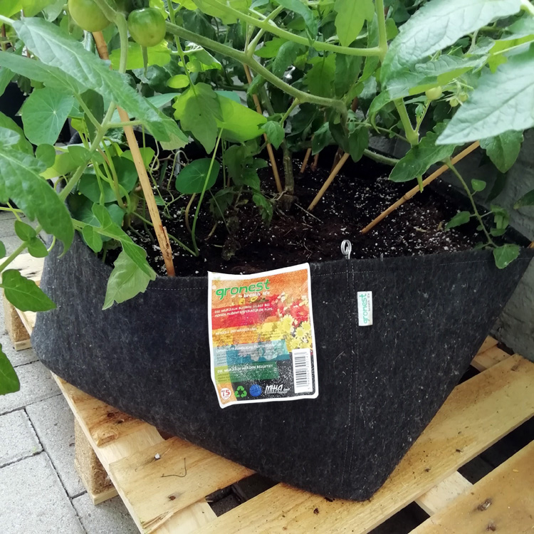 Gronest Classic Fabric Pots for Growing Tomatoes