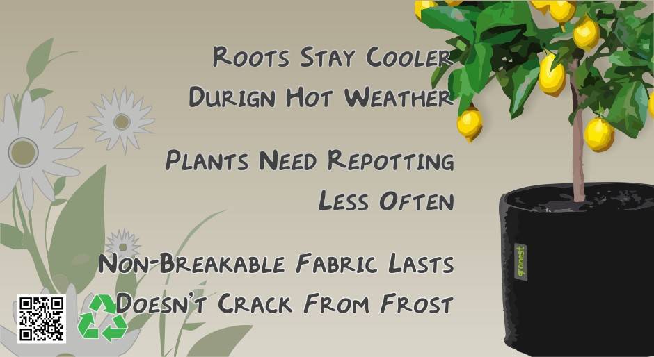 Roots Stay Cooler During Hot Weather
