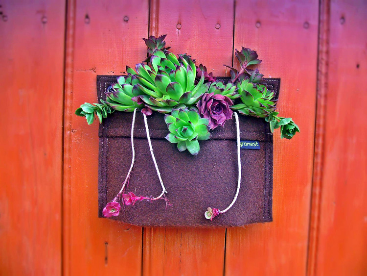 Gronest® fabric wall planters for succulent plants