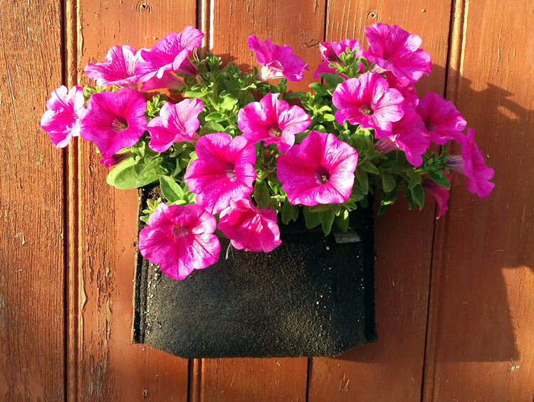 Gronest® fabric wall planters for seasonal flowers.