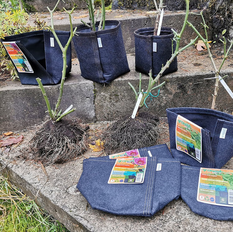 Gronest Transplanter Pots with Aqua Breathe Layer for effortless and gentle planting of seedlings.