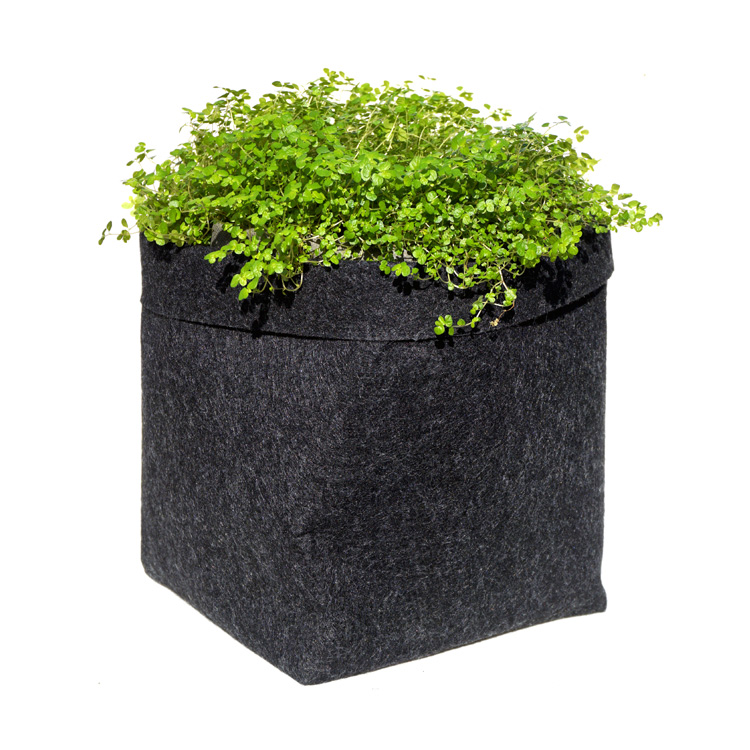 GRONEST® YBP fabric pots for indoor plants